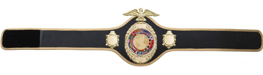 CHAMPIONSHIP BELT PRO288/GOLD/FLAGG - AVAILABLE IN 10 COLOURS